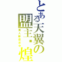 とある天翼の盟主—煌。（萬人斬追求中）