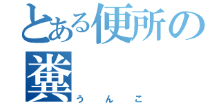 とある便所の糞（うんこ）