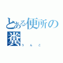 とある便所の糞（うんこ）