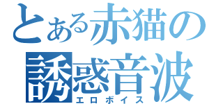 とある赤猫の誘惑音波（エロボイス）