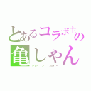 とあるコラボ主の亀しゃん（（・ω・ 　⊃ 　）⊃≡すいー）