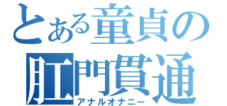 とある童貞の肛門貫通（アナルオナニー）