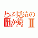 とある見猿の聞か猿Ⅱ（言わ猿）