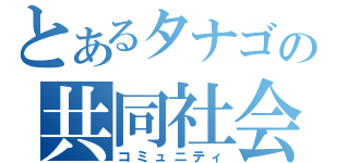 とあるタナゴの共同社会（コミュニティ）