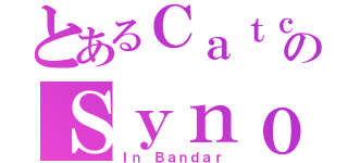 とあるＣａｔｃｈ Ｕｓ Ｉｆ Ｙｏｕ ＣａｎのＳｙｎｏｐｓｉｓ（Ｉｎ Ｂａｎｄａｒ）