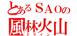 とあるＳＡＯの風林火山（クライン）