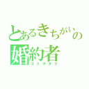 とあるきちがいの婚約者（ゴミヲタク）