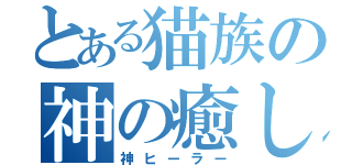 とある猫族の神の癒し手（神ヒーラー）