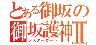 とある御坂の御坂護神Ⅱ（シスターガード）