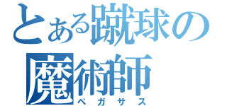 とある蹴球の魔術師（ペガサス）