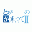 とあるのかまってちょⅡ（かまちょ）