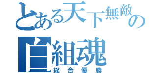 とある天下無敵の白組魂（総合優勝）