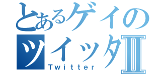 とあるゲイのツイッターⅡ（Ｔｗｉｔｔｅｒ）