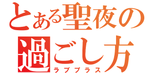 とある聖夜の過ごし方（ラブプラス）