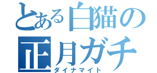 とある白猫の正月ガチャ（ダイナマイト）