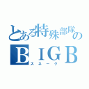 とある特殊部隊のＢＩＧＢＯＳＳ（スネーク）