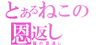 とあるねこの恩返し（猫の恩返し）