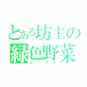 とある坊主の緑色野菜（ピーマン）