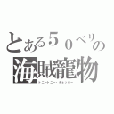 とある５０ベリーの海賊寵物（トニートニー・チョッパー）