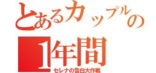 とあるカップルの１年間（セレナの告白大作戦）