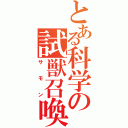 とある科学の試獣召喚（サモン）