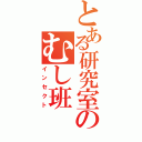 とある研究室のむし班Ⅱ（インセクト）