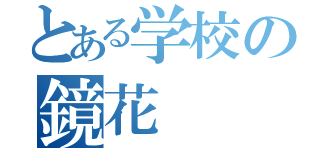 とある学校の鏡花（）