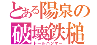 とある陽泉の破壊鉄槌（トールハンマー）