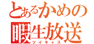 とあるかめの暇生放送（ツイキャス）