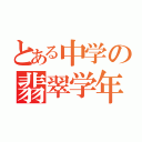 とある中学の翡翠学年（）