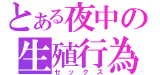 とある夜中の生殖行為（セックス）