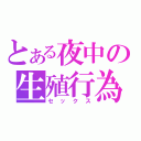 とある夜中の生殖行為（セックス）