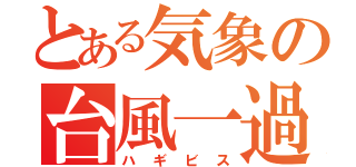 とある気象の台風一過（ハギビス）