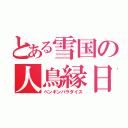 とある雪国の人鳥縁日（ペンギンパラダイス）