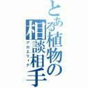 とある植物の相談相手（アロエリィナ）