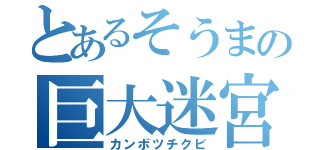 とあるそうまの巨大迷宮（カンボツチクビ）