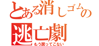 とある消しゴムの逃亡劇（もう戻ってこない）