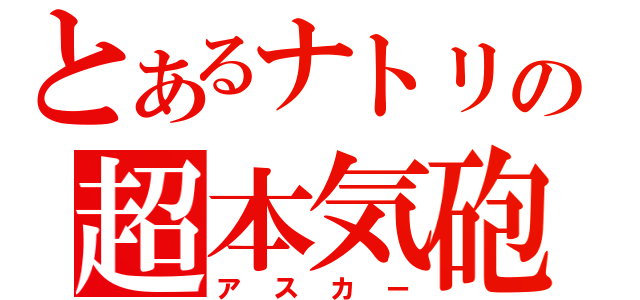 とあるナトリの超本気砲（アスカー）