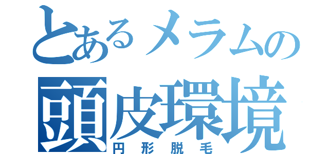 とあるメラムの頭皮環境（円形脱毛）