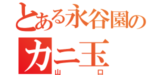 とある永谷園のカニ玉（山口）