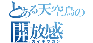 とある天空鳥の開放感（カイホウカン）