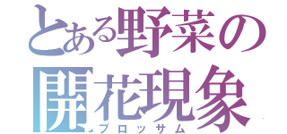 とある野菜の開花現象（ブロッサム）