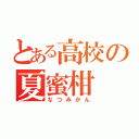 とある高校の夏蜜柑（なつみかん）