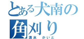 とある犬南の角刈り（清水 かいと）