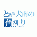 とある犬南の角刈り（清水 かいと）