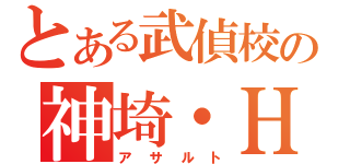 とある武偵校の神埼・Ｈ・アリア（アサルト）