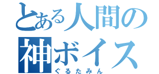 とある人間の神ボイス（ぐるたみん）