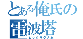 とある俺氏の電波塔（ビックマグナム）