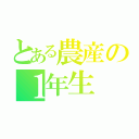 とある農産の１年生（）