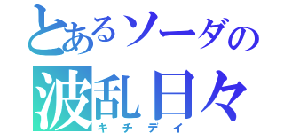 とあるソーダの波乱日々（キチデイ）